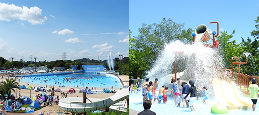 東武動物公園 スーパープール