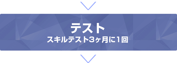 テスト スキルテスト3ヶ月に1回